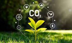 Karbon Salımı Türkiye’deki Şirketler İçin Maliyete Dönüşüyor
