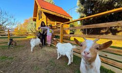 Keçi, ördek, tavuk, tavşan: Hepsinin görevi "Çok özel"