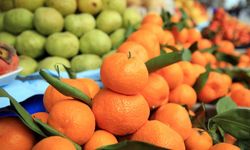 Türkiye’nin narenciye geliri 1,4 milyar doları aştı