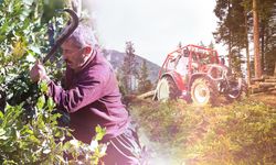 Orman köylüsü ailelere 2,55 milyar lira destek sağlandı