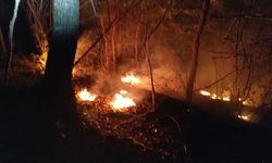 Avustralya'da süren orman yangınlarından etkilenen 1100 kişiden bölgeyi tahliye etmeleri istendi