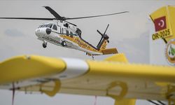 Ormanlar için bu yıl 118 milyon fidan üretilecek