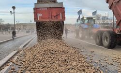 Fransız çiftçiler, Ulusal Meclis'in önüne 30 ton patates döktü