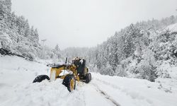 Yoğun kar 320 yolu ulaşıma kapattı
