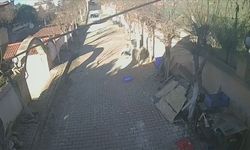 Silivri'de Beslediği Koçun Saldırısına Uğrayan Kişi Yaralandı