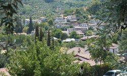 Türkiye'nin en ilginç köy isimleri: Panik, Dertli, Sinek