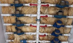 Su sayaçları için don uyarısı