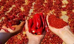 Tarım Bakanlığı, Kahramanmaraş’taki Hileli Baharat Firmalarını Açıkladı