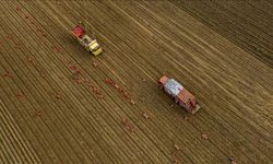 Tarım Sezonunun İlk 2 Ayında Yağışlar Yüzde 19 Azaldı