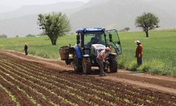 Tarım sayımının yüzde 90'ı tamamlandı