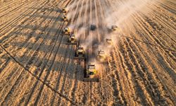 Tarım ÜFE Aralık 2025'te arttı