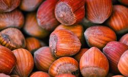 FİSKOBİRLİK Olağan Mali Genel Kurulu Giresun'da yapıldı