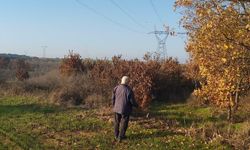 Yargıtay’dan kamulaştırma davasında emsal karar