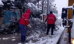 Yoğun Kar Yağışıyla Kırılan Ağaç Dallarına Hızlı Müdahale