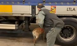 75 ilde narkotik operasyonu: 958 kilo uyuşturucu ele geçirildi