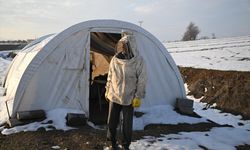 6 ŞUBAT DEPREMLERİNİN ÜÇÜNCÜ YILI - Depremde arılarını kaybeden arıcı, devlet desteğiyle üretimini sürdürdü