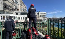 Antalya'da falezlerde mahsur kaldığı sanılan kedi itfaiyeyi harekete geçirdi