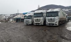 Ardahan'da Türkgözü-Posof-Damal kara yolu tırlara kapatıldı