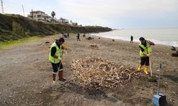 Arsuz ve Payas ilçelerinin kıyı şeridinde temizlik yapıldı