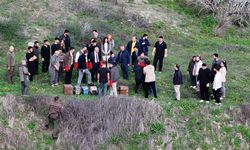 Hatay'da tedavileri tamamlanan kuşlar doğaya salındı