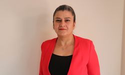 KÜÇÜK YAŞ, BÜYÜK SUÇ - 'Çoklu sosyal sorun' çocukları suçu sürüklüyor