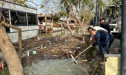 Manavgat'ta su taşkınından hasar gören yerlerde çalışmalar sürüyor