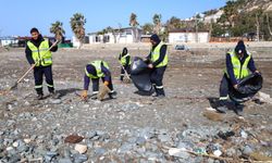 Samandağ ilçesinde kıyı şeridinde temizlik yapıldı