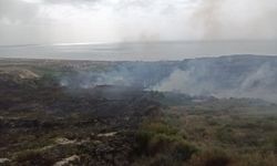 Samandağ ilçesinde makilik alanda çıkan yangın söndürüldü