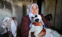 Şehit annesi biberonla beslediği 'yavrularının' evindeki yangından kurtarılmasıyla teselli buldu