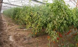 Aksu'da sağanak, sel, hortum ve doludan 23 mahalle, 500 çiftçi zarar gördü