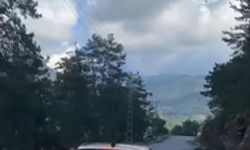 Alanya'da ehliyetsiz sürücüye 60 bin TL ceza