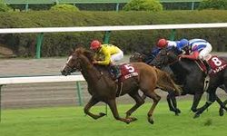 Altılı ganyanda bugün (9 Şubat)