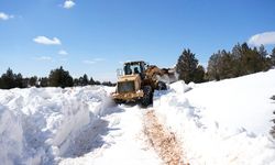 Büyükşehir’den Göksun Kırsalında Olumsuz Hava Koşullarıyla Etkin Mücadele