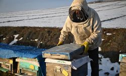 Depremde Arılarını Kaybeden Arıcı, Devlet Desteğiyle Üretimini Sürdürdü
