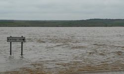 Edirne'de nehir debileri kritik eşikte