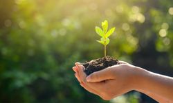 Erzurum'da 'Uzlaştırma Ormanı' oluşturulacak