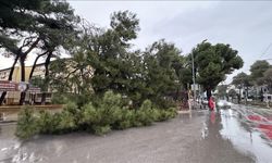 İzmir'de sağanak hayatı olumsuz etkiledi