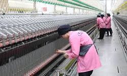 Kadınların iş hayatına dönüşüne güçlü bir destek: “Harekete Geç, Gücünü Keşfet”