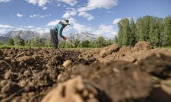 Kırsalda yaşayanların nüfusu azalıyor