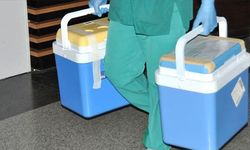 Organ bağışı 3 hastaya umut oldu