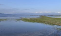 Sağanak Yağışlar Tarım Arazilerini Vurdu