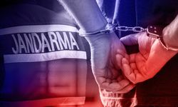 Siber dolandırıcılık operasyonlarında 58 tutuklama