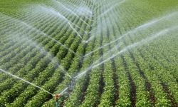 Tarımsal destek bütçesi geçen yıl 158,55 milyar liraya yükseldi