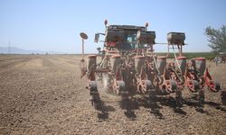 Tarımsal destekleme ödemesi bugün yapılacak