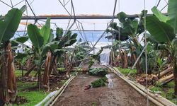 TARSİM, Antalyalı üreticilere 586 milyon lira hasar ödemesi yapacak