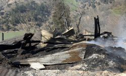 Adana'da ev ve ahırda çıkan yangında 1 kişi yaralandı, 23 hayvan telef oldu