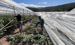 Antalya'da etkili olan hortum bazı seralara zarar verdi