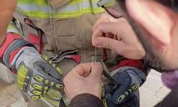 İskenderun'da kanatları ipe dolanan kuşu itfaiye kurtardı