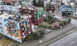 Mersin'de ünlü ressamların eserlerinin resmedildiği binalar mahalleye renk katıyor