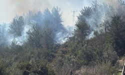 Osmaniye'de çıkan orman yangını söndürüldü